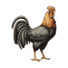 Hahn Tier