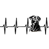 Heartbeat Labrador Chien