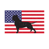 Cadeaux American Bully