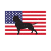 Cadeaux American Bully