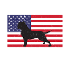 Cadeaux American Bully
