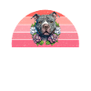 Cadeaux American Bully