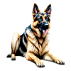 German Shepherd