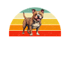 Cadeaux American Bully