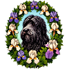 Braird Dog