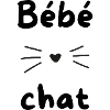 Bébé chat