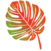 Leaf of a plant