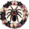Tarantula