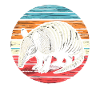 Armadillo Gürteltier