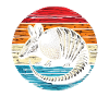 Armadillo Gürteltier