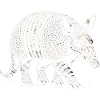 Armadillo Gürteltier