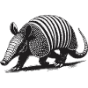 Armadillo Gürteltier
