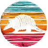 Armadillo Gürteltier