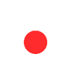 JAPAN Team