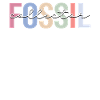Fossielenverzamelaar Paleontologie Fossielenjager Palaean