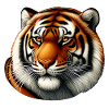 Wild Animal, Free Tiger