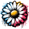 Daisy