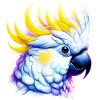 Parrot Cockatoo
