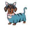 Teckel en costume Chat Teckel