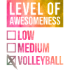 Volleyball Volleyball Volleyball