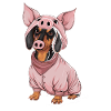 Teckel déguisé en cochon