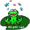 happy frog