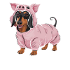 Teckel En Costumes Tenue Cochon