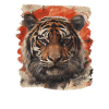 80s Retro Japanese Tiger