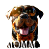 Rottweiler Maman Maman Chiens