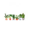 Let's go plant shopping