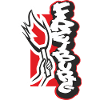 Freiburg Pyro