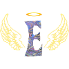 Ange E E 45