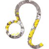 Zodiac sign Leo e 40