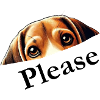 Beagle Please
