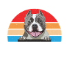 Cadeaux American Bully