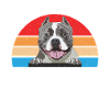 American Bully Gifts