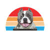 Cadeaux American Bully
