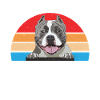 Cadeaux American Bully
