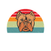 Cadeaux American Bully