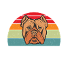 Cadeaux American Bully