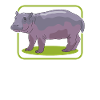 Hippopotame Bébé hippopotame Cadeau Hippopotame