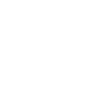 White runes shield knot