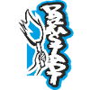 Darmstadt Pyro