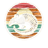 Armadillo Gürteltier