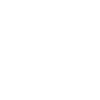 Proud Swan Waterfowl Portrait