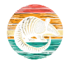 Armadillo Gürteltier