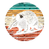 Armadillo Gürteltier