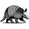 Armadillo Gürteltier