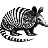 Armadillo Gürteltier
