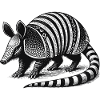Armadillo Gürteltier